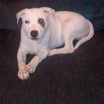 Profile Picture of Stephen Mackenzie (@stephenmackenzie7017) on Instagram