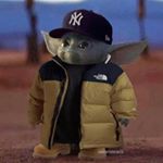 Profile Picture of Joel Frye (@the.joel.frye) on Instagram