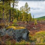 Profile Picture of Haining (@hainingsagar3h) on Instagram