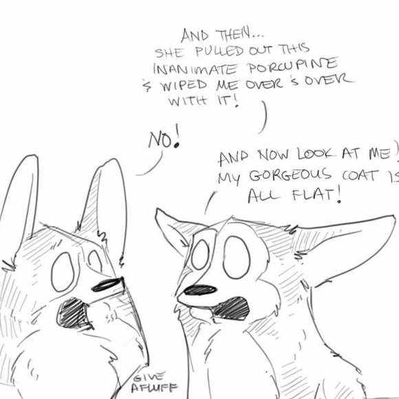 Profile Picture of William Clements (@wilgar66) on Poshmark