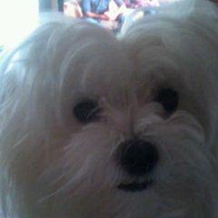 Profile Picture of Sandra Pelsman (@sandra.pelsman) on Tiktok