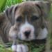 Profile Picture of Cameron Guillory (@cameron.guillory.39) on Facebook