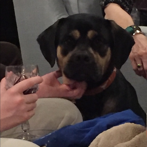 Profile Picture of Lexi Luzarraga (@bluelexi1) on Poshmark