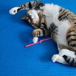 Profile Picture of Edwin Poon (@ed.poon) on Instagram