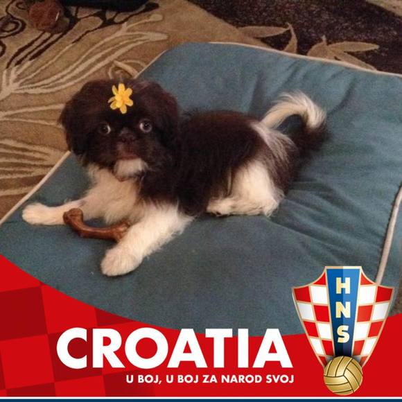 Profile Picture of Stefe Cerjanec (@scerjanec) on Poshmark