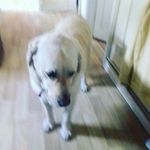 Profile Picture of Rowan Grant (@kag2705) on Instagram