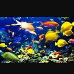 Profile Picture of Luis Cancino (@luis.cancino.182940) on Instagram