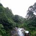 Profile Picture of Demray (@biologi.saputra) on Facebook