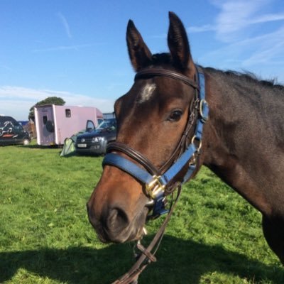 Profile Picture of Lara O'brien (@LaraObrien1010) on Twitter