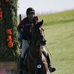 Profile Picture of David Adamo (@adamo_eventing) on Instagram