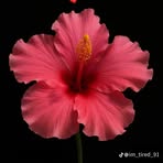 Profile Picture of Natalia Krzewska (@Natalia-Krzewska) on Facebook