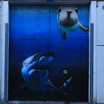 Profile Picture of Oscar Omar Álvarez Calderón De La Barca (@osmarcaba) on Flickr