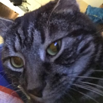 Profile Picture of Jakob Burman (@kakob03) on Twitter