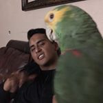 Profile Picture of Steven Medrano (@steven_medrano) on Instagram