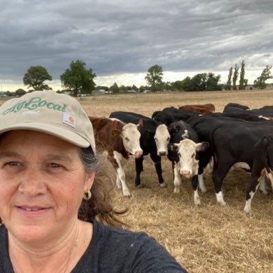 Profile Picture of Sheila Barry (@green_beefcows) on Twitter