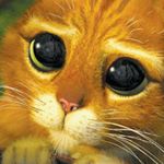 Profile Picture of hi i'm Lorenz ✌🏼 (@markhappyworld) on Instagram