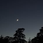 Profile Picture of Juli Castilla (@xinger.marinocastilla) on Facebook