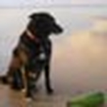 Profile Picture of Paul Burns (@paul h burns) on Flickr