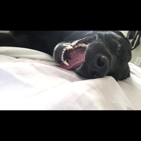 Profile Picture of Hailey Buffham (@camonastley) on Poshmark