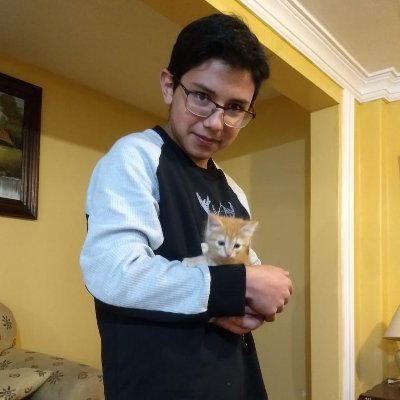 Profile Picture of Alexander Cedillo Rodríguez (@Alexand60969455) on Twitter