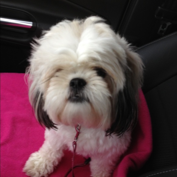 Heather Misemer - Poshmark Profile Picture of Heather Misemer (@hmisemer) on Poshmark