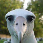 Profile Picture of Tim Bertrand (@tim_7788) on Instagram