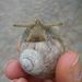 Profile Picture of Anne Hapunkt (@anne_hunsicker) on Pinterest