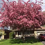 Profile Picture of Mark Langley (@mark.langley.288547) on Facebook