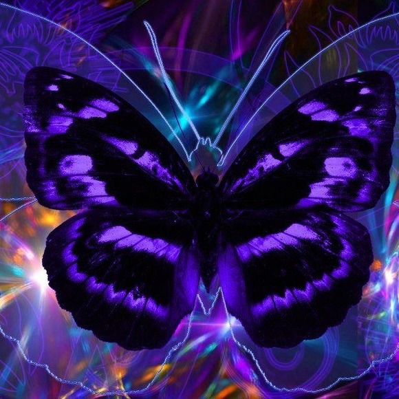 Profile Picture of Maria Belman (@mariabelman) on Poshmark