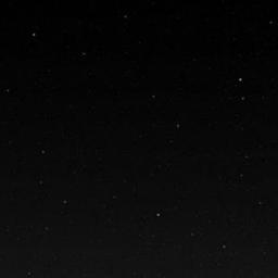 Profile Picture of Ronald T. Tillman (@dgfy7889) on Twitter