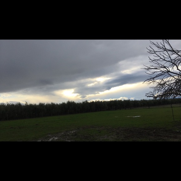 Profile Picture of Makayla Murphy (@makaylamurph567) on Poshmark