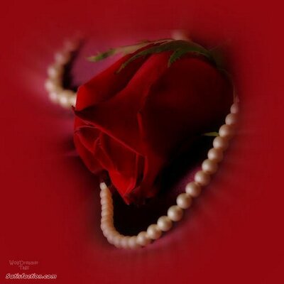 Profile Picture of Maribel Renteria (@hosmara) on Twitter