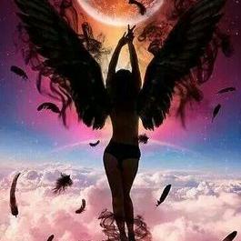 Profile Picture of Estrella (@Erik53887892) on Twitter