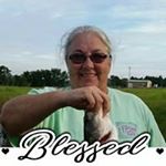 Profile Picture of Melinda Long (@mklong) on Instagram