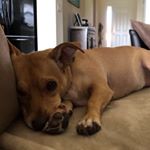 Profile Picture of Terry LaPointe (@lapointeterry) on Instagram