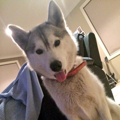 Profile Picture of Travis Kell (@supertrav999) on Twitter