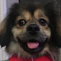 Profile Picture of Susan Trinh (@susan-trinh-9) on Quora