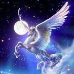 Profile Picture of Laurel Harrison (@dream_horsey) on Instagram