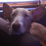 Profile Picture of David Hoffner (@hoffnerd) on Instagram