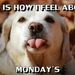 Profile Picture of April Checket (@april627) on Pinterest