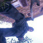 Profile Picture of Ray Kimball (@hooray.for.ray) on Instagram