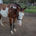 Profile Picture of Hope Simpson (@simpsons125) on Instagram