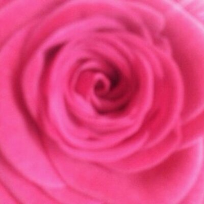 Profile Picture of Fuchs Janine (@jf_janine) on Twitter