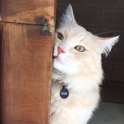 Profile Picture of Alejandro Piscitelli (@piscitelli) on Twitter
