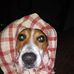 Profile Picture of Robert Edwards (@robert.edwards.7777019) on Facebook