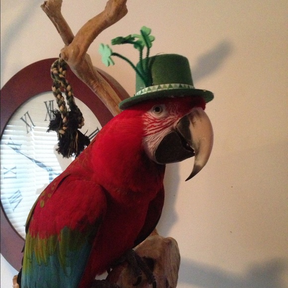 Rachel Emons - Poshmark Profile Picture of Rachel Emons (@pudds412) on Poshmark