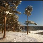 Profile Picture of Nealey (@nealeycraig) on Instagram