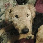 Paula Kerman - Instagram Profile Picture of Paula Kerman (@paulakerman) on Instagram