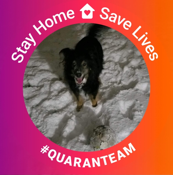 Profile Picture of Fran Demers-knittel (@knittel43) on Poshmark