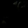 Profile Picture of David Heuser (@@davidheuser0) on Tiktok